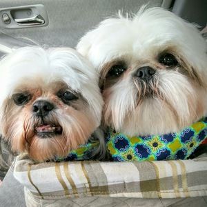 Meet your Posher, Vita